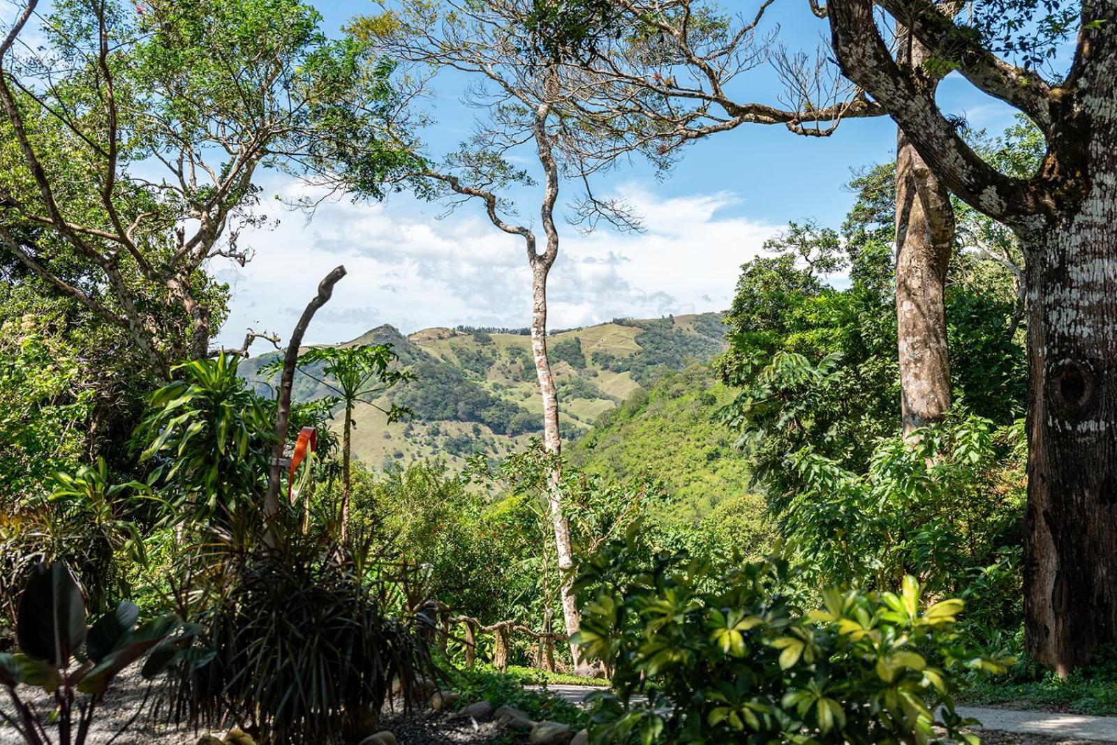 Finca Sunset Monteverde Exterior photo
